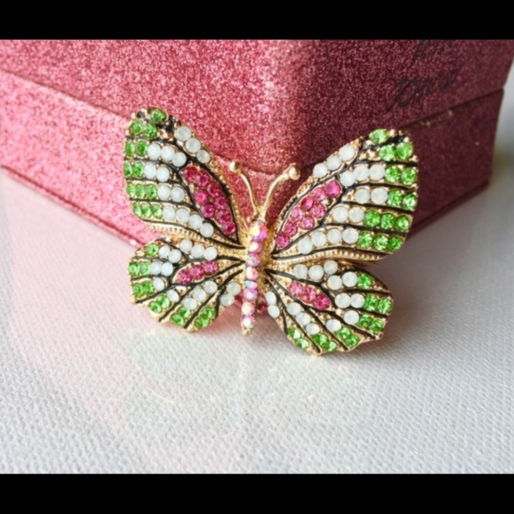🍉WATERMELON BUTTERFLY BROOCH !